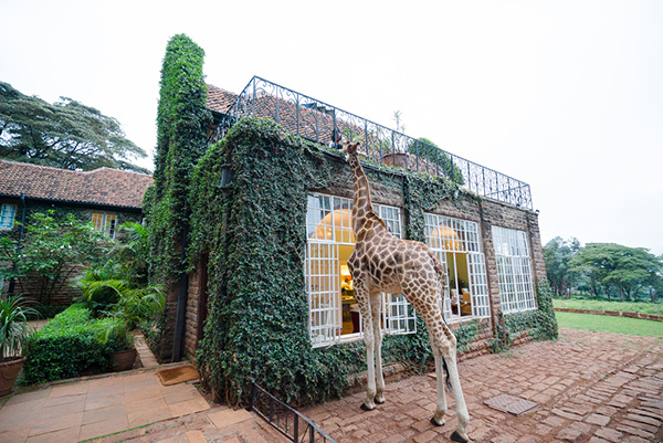 Giraffe Manor Nairobi | Africa | Be Inspired | Erne Travel